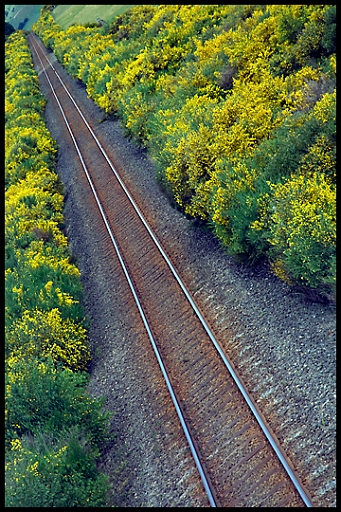 Vanishing Tracks.jpg